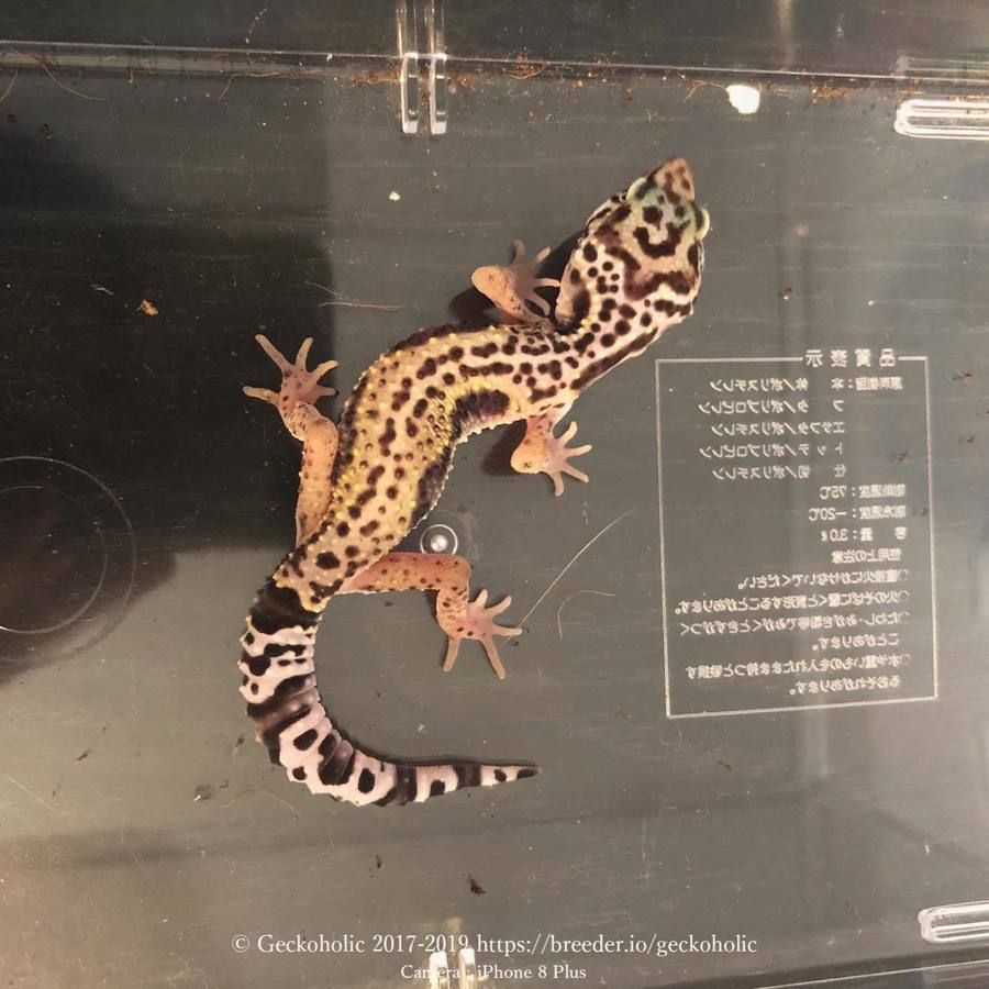 74762837-d6f6-42bc-8605-72cde51b3cdc