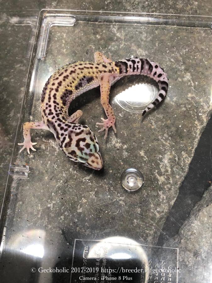 f874d22e-546a-4374-9b25-0d69c4d1478b