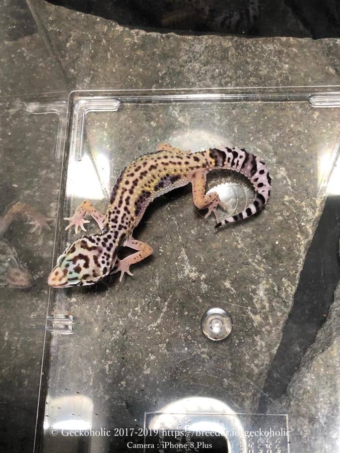 8da4d82e-4f79-4946-b229-00fdfe34d435