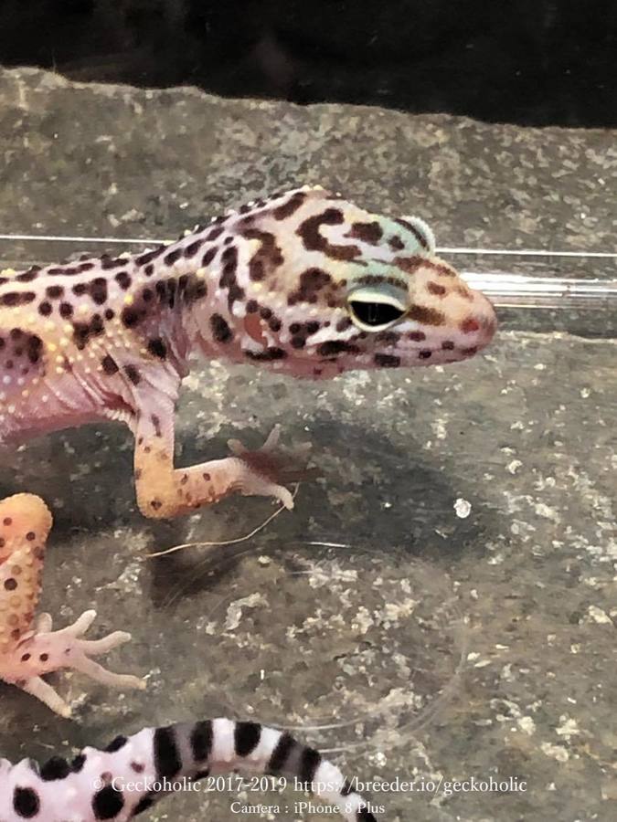 cb59b938-b11e-4192-b59a-0d93df659208