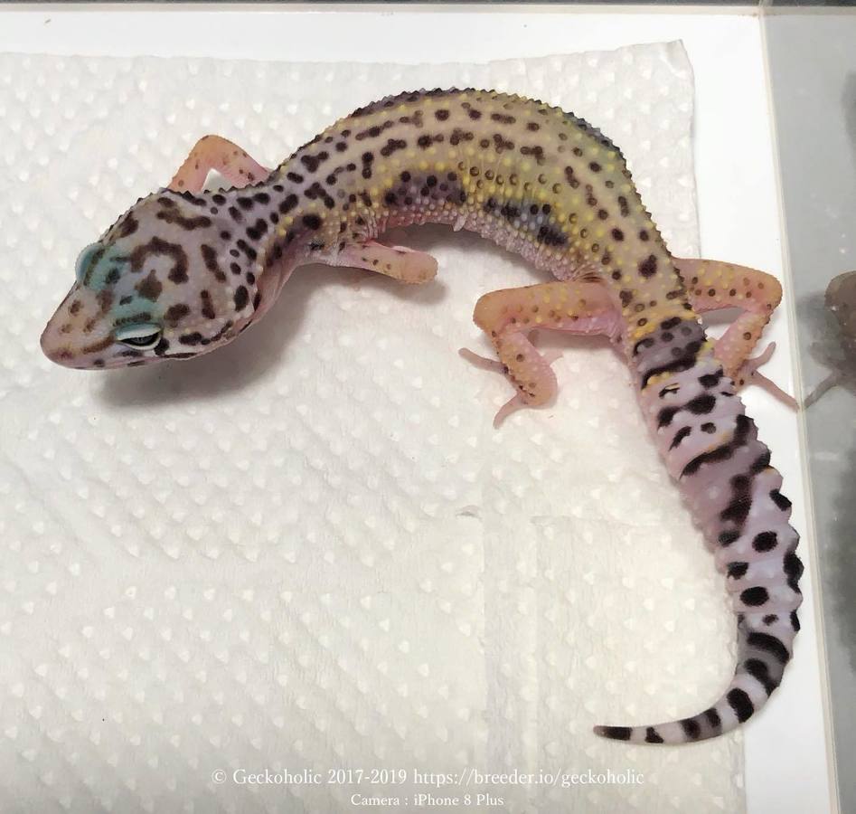 38723b00-1b50-4039-a479-a81a446ad476