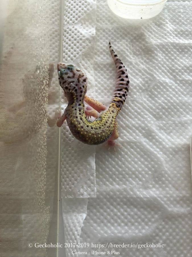 4ab4cf6f-5205-4752-abbf-d726deabe51f