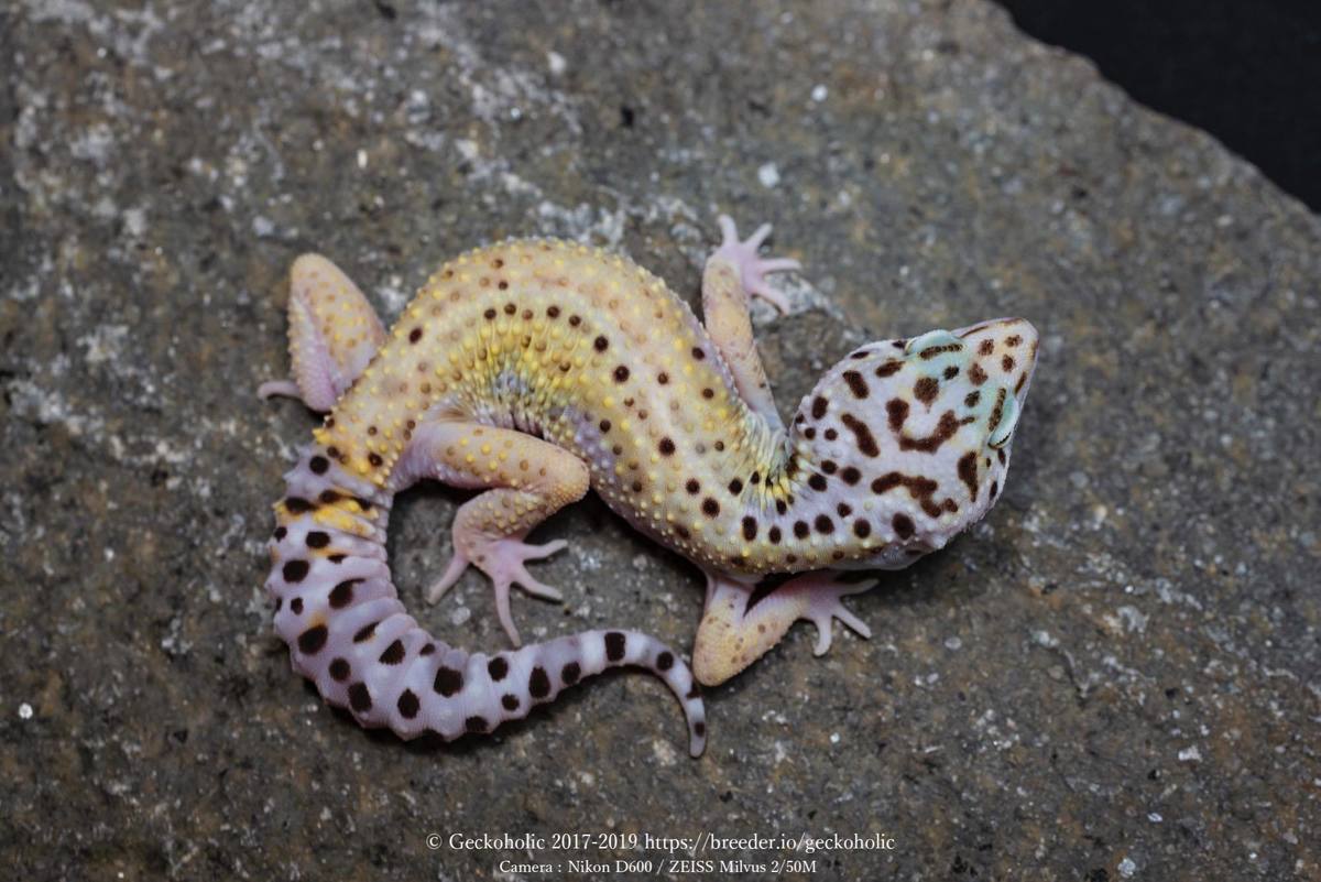 df2c9458-f1eb-4cb2-a143-ec031aea567a