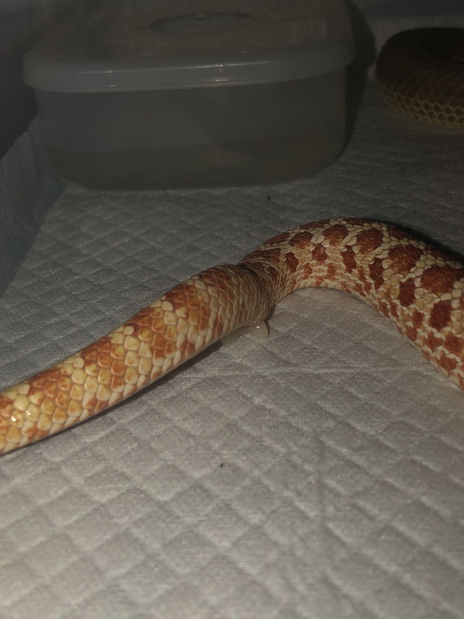 119da2d0-8a24-4a87-ba0b-dd9219540997