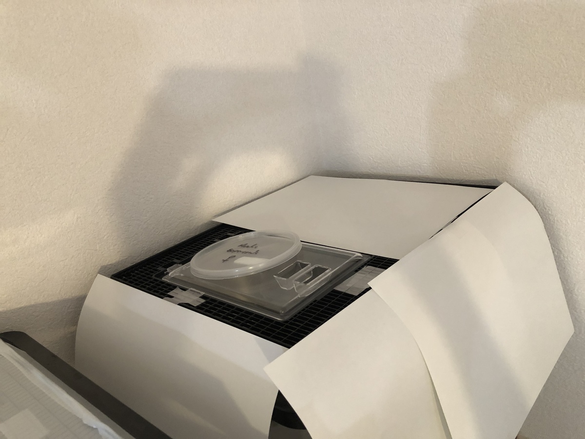 ddc25ecb-fd01-4eef-adcf-52d31f914616