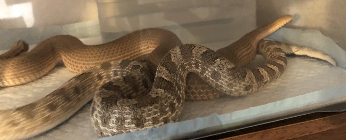 397ed4a0-50a0-4de0-b567-901e7d9d9d27