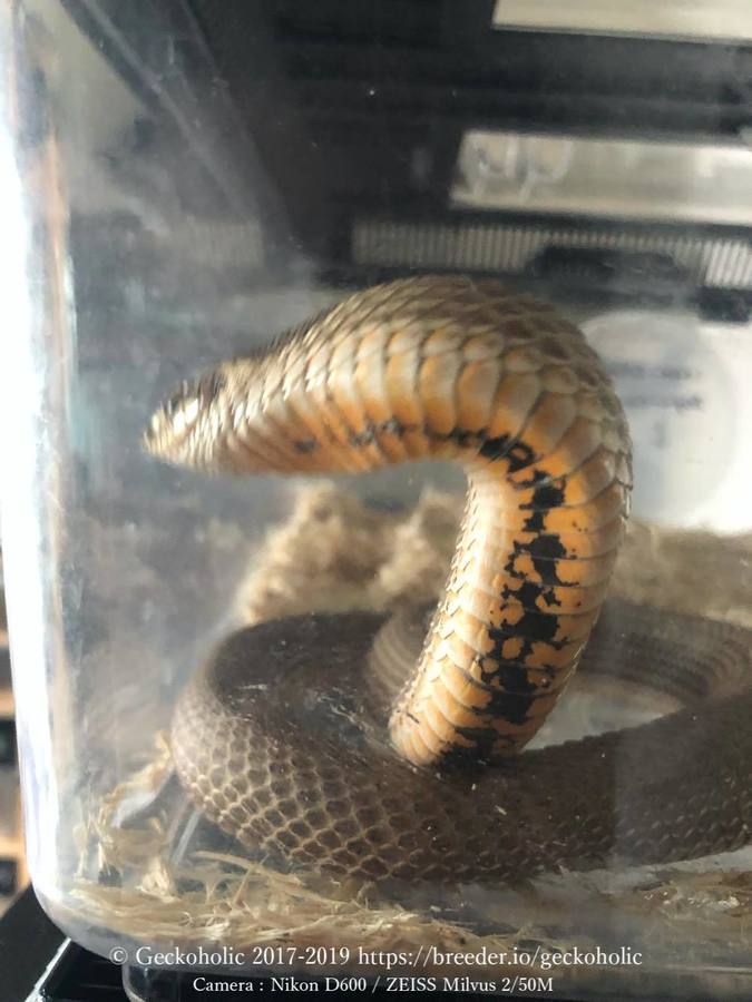 e6a4e947-0772-4437-aee2-a54bb0e0e13a