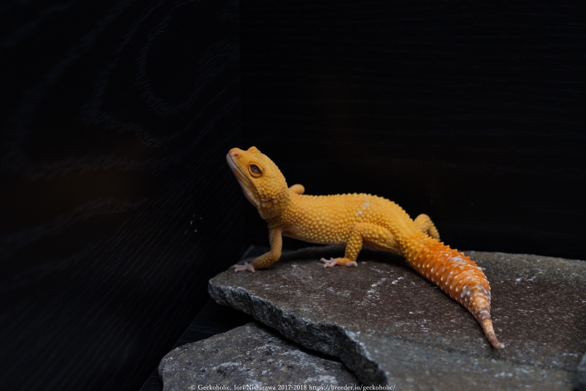 959add64-ff3a-4b05-9ae0-49e6a1dba936