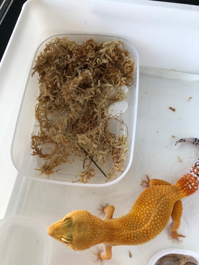 70e836e4-b9ce-4f7c-8114-2dc82eab99d3