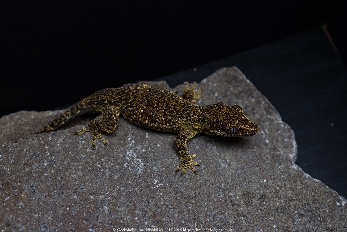 b0de596d-9e2d-48de-824c-9f3f7154f40a