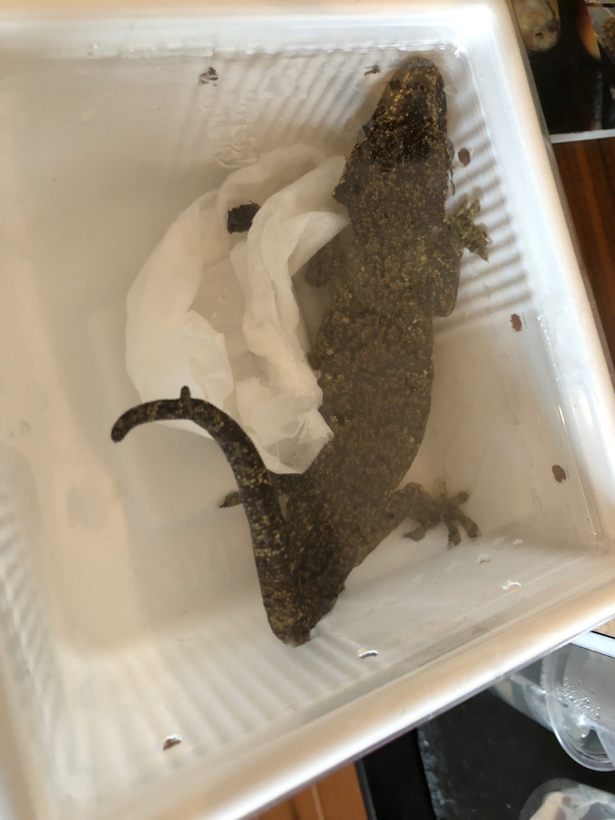 6a6b3ff7-d9f4-4638-b3c1-fca1ea637142