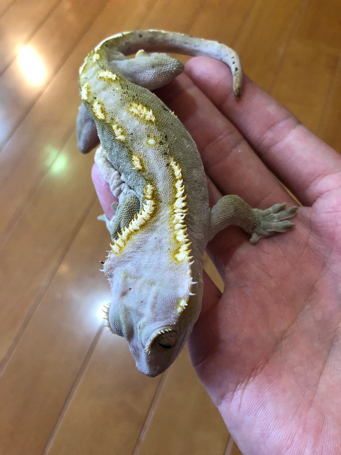 253ea4b0-3beb-40ee-abfa-3356208dffff