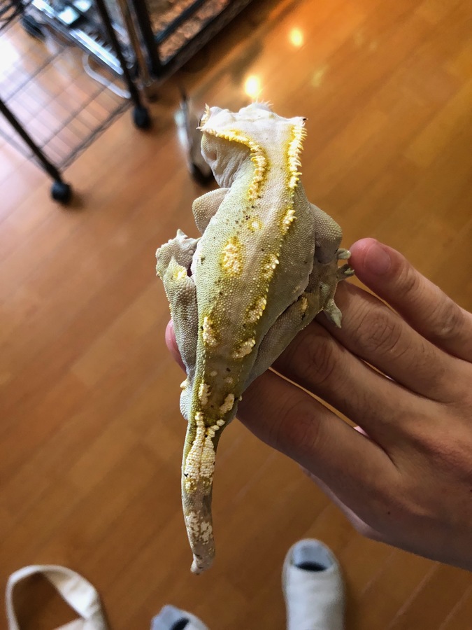 ba4fef51-0548-4564-a11d-2cdca1c66433