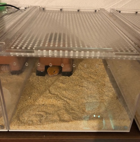 a9458297-2b3d-4cca-9bdb-ac83cce19a55