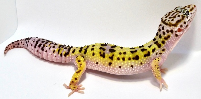 7b5b0d2c-c9b0-4982-8598-ff8f3b44d042