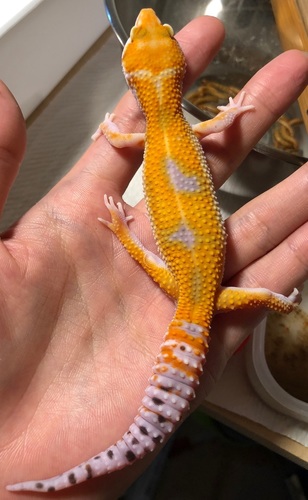 12fb006a-ca5f-4492-a0d0-b713365995d8