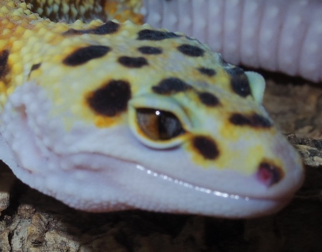 ad345c7b-1caa-4533-94e6-e7e63db9923b