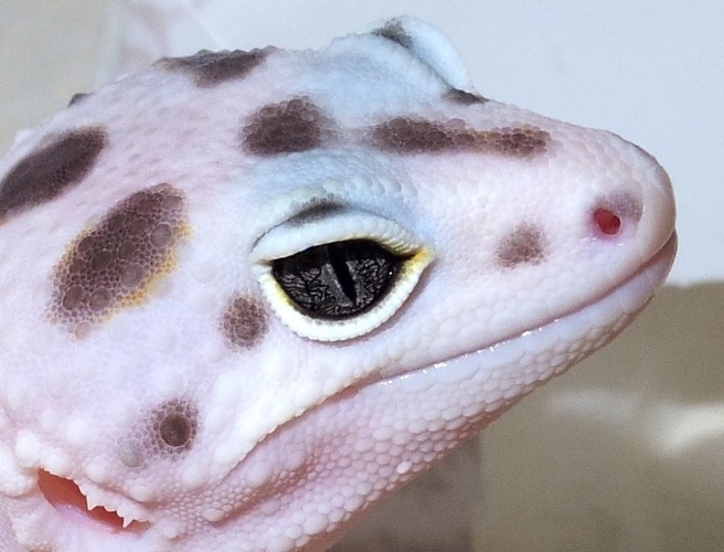 a237ff5a-c163-4472-a0ea-006d92808d0f