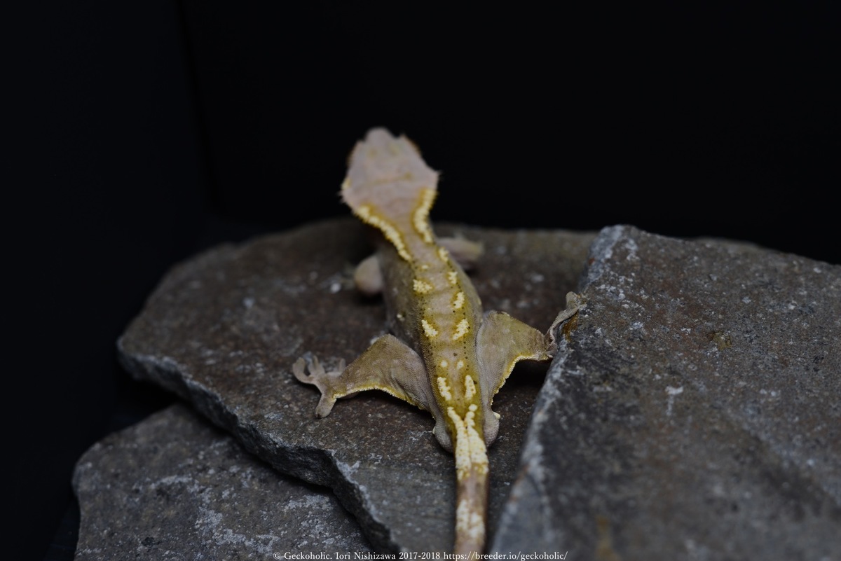 8404eb48-3159-46df-ab14-2b7990761683