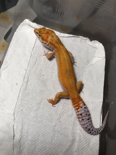 6ea4782b-835f-4189-ae0c-749829cb72f5