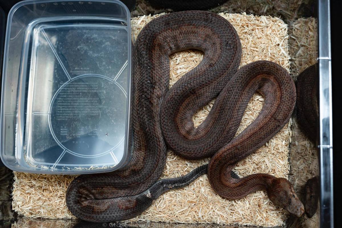 ccfe3ff3-d8d0-4dfd-afad-a80b54d0a158