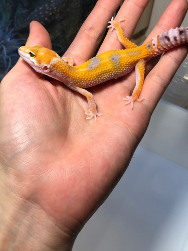 ebe28264-bc67-422c-af00-380a29d65f99