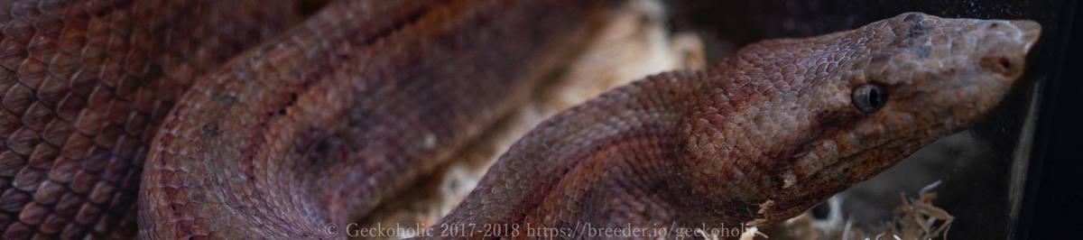 cfb0cdeb-c200-4df0-83bd-95c4e0837d3f