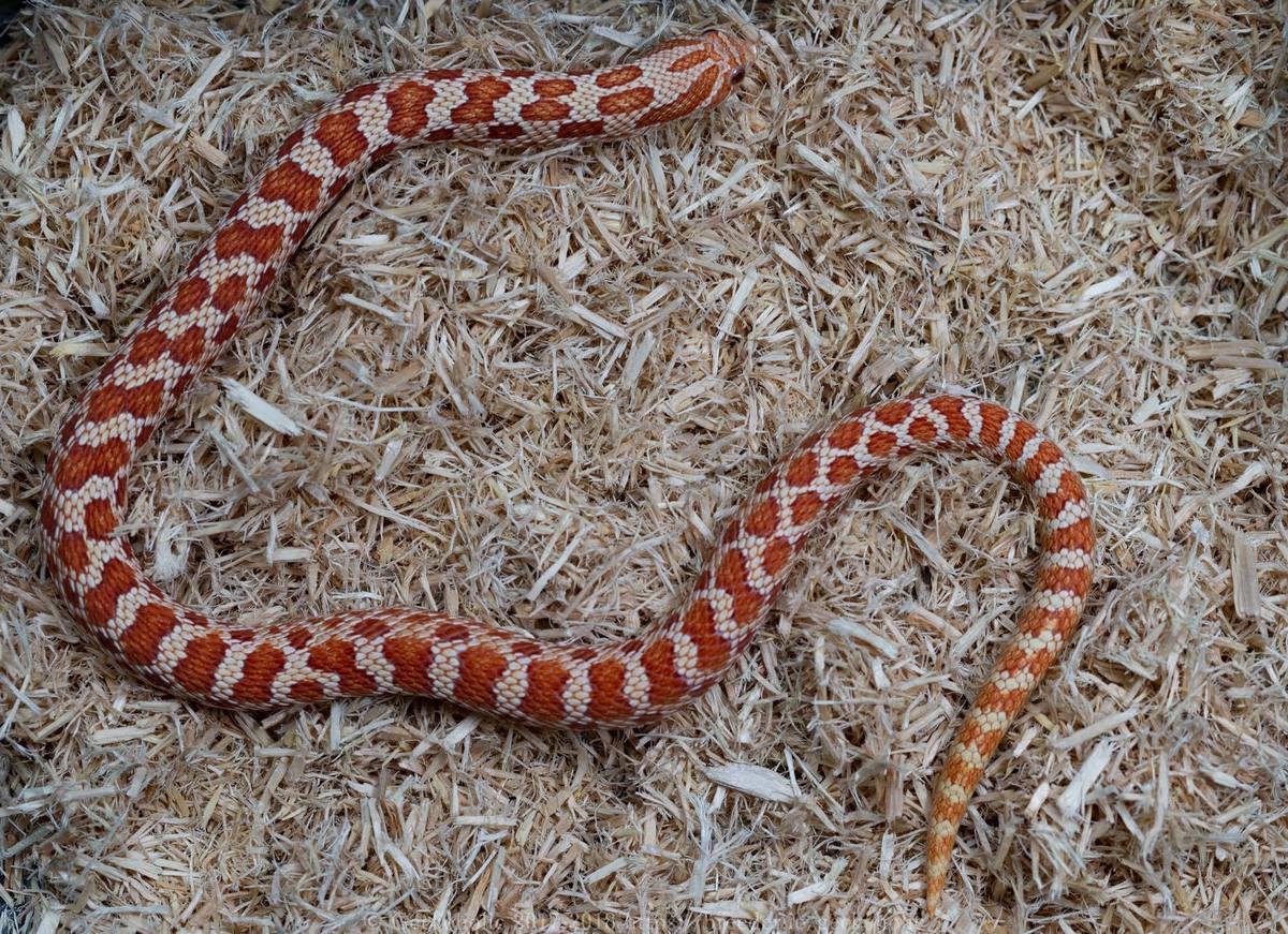 3bb8c04a-9c53-4619-88f8-6440b69f00e1