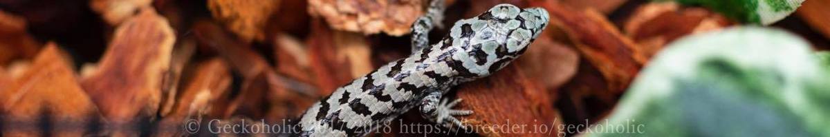 50f95a2a-603d-4d64-8e0d-0595009bcede