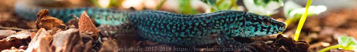 fc896898-c4e8-4f05-a8cc-e8acf855f323