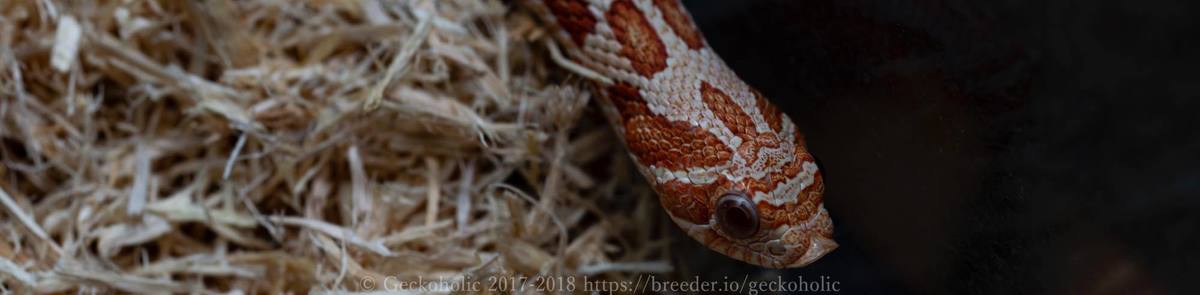 2ee4dbf3-f54d-4953-a03a-ef448db00fab