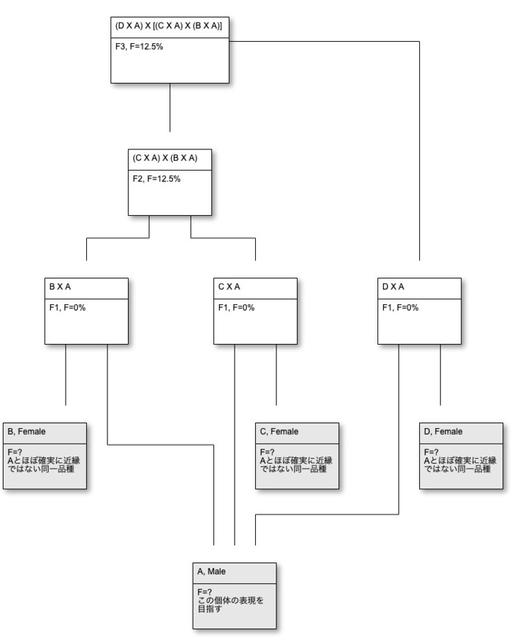 399e937a-9b2a-4687-92dd-f6fa77e4e530