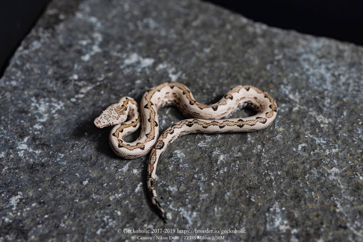 7efe53ba-f7bc-417a-beaf-6bef47ba1d71