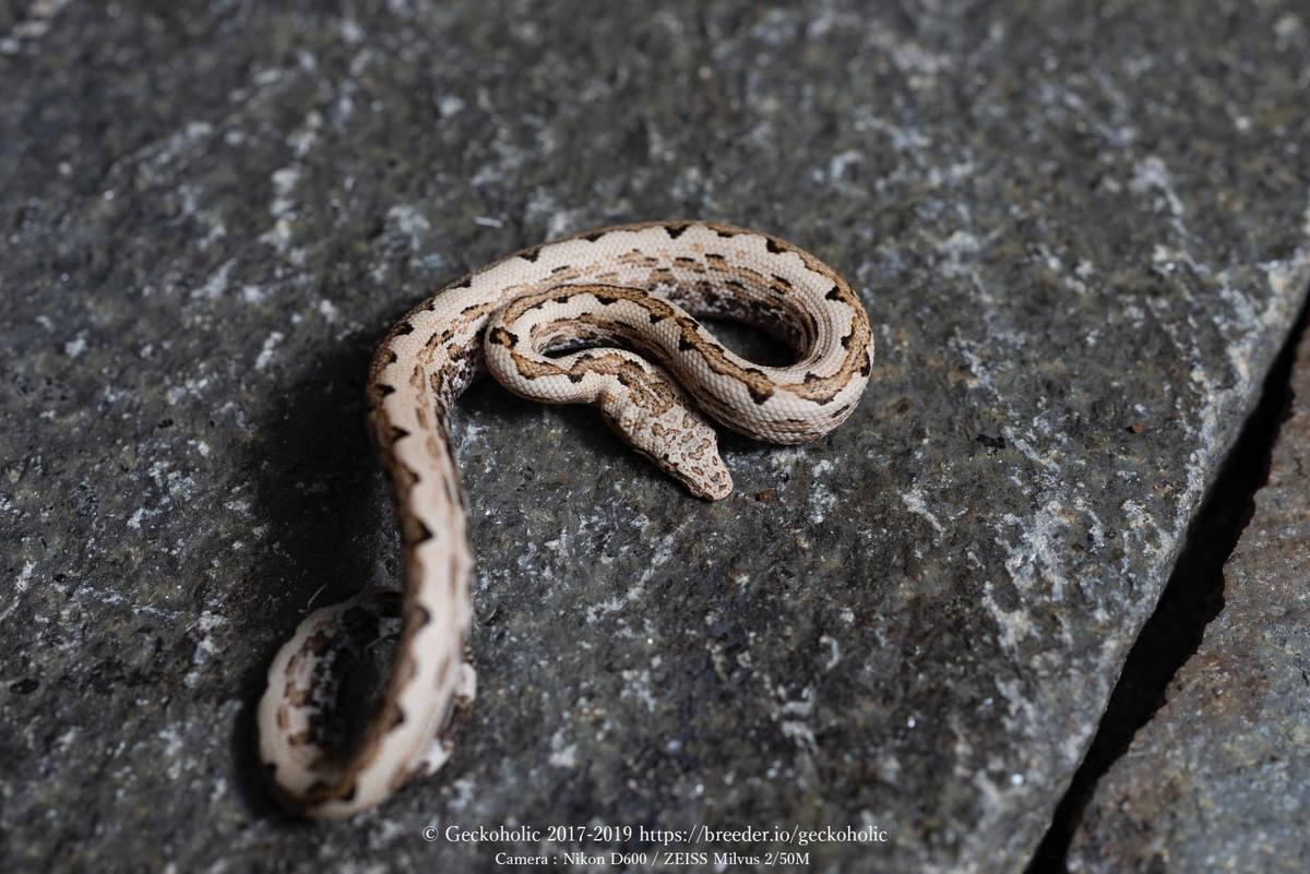 b1b1ab68-6279-43d6-a85d-e1459d0a3522